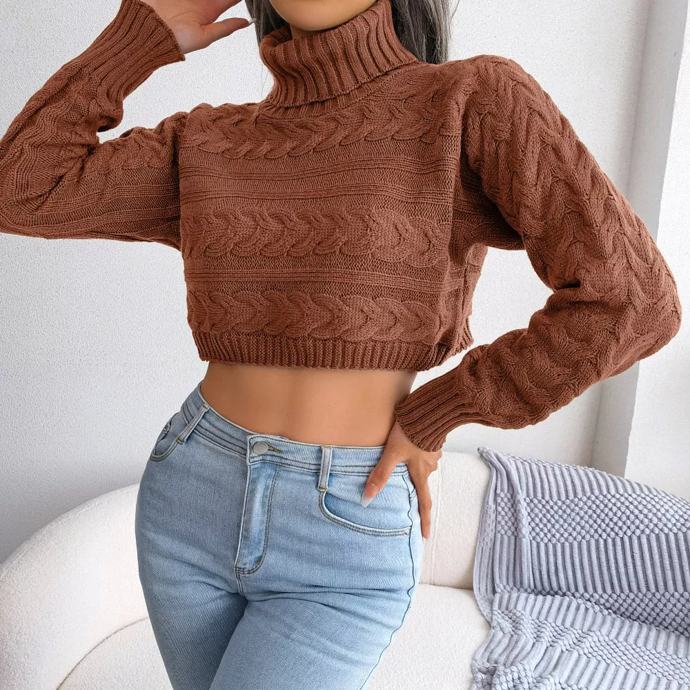 Zola - Brown Braided Turtleneck Crop Top